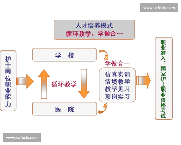 以梯队建设为核心推动高质量发展的人才培养新格局持续创新路径